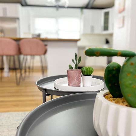 4 Bedrooms Chic House In South Tampa 5 Min From Bay Екстериор снимка